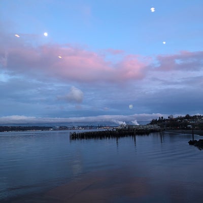 photo of Harbor Lights