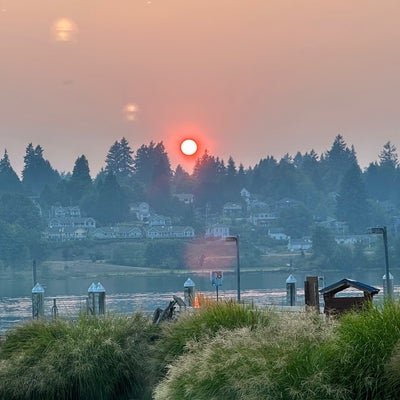 photo of Anthony's Homeport Of Olympia