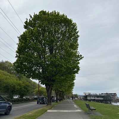 photo of Ruston Way Waterfront