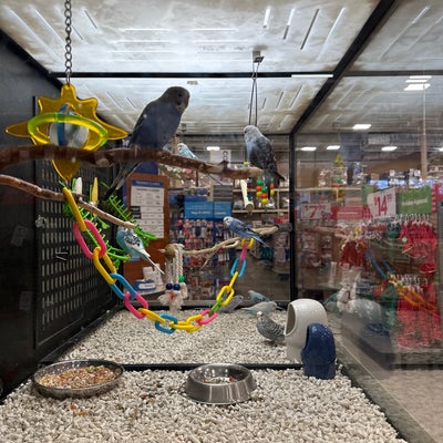 photo of PetSmart