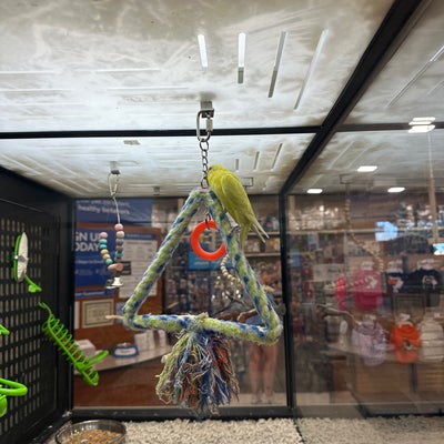 photo of PetSmart