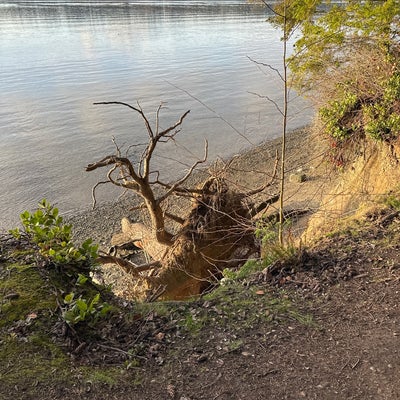 photo of Titlow Park