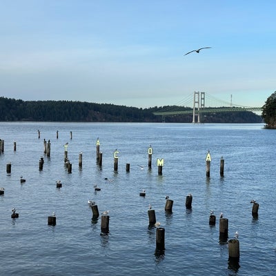 photo of Titlow Park