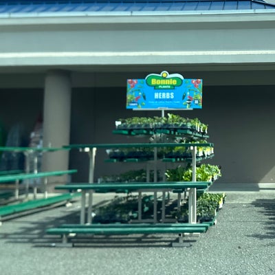 photo of Lowe's