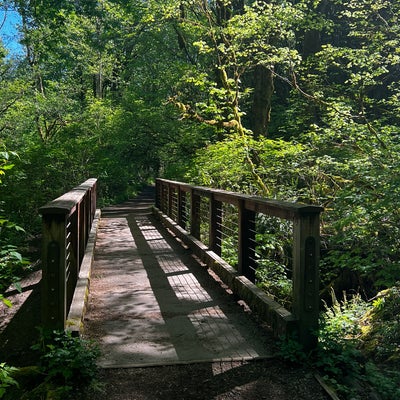 photo of West Tiger Mountain #3 Trail