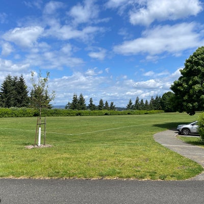 photo of Aubrey Davis Park