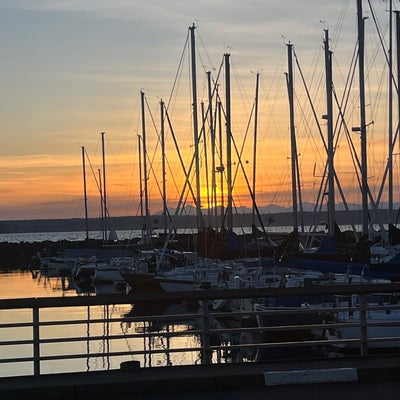 photo of Anthony's Homeport
