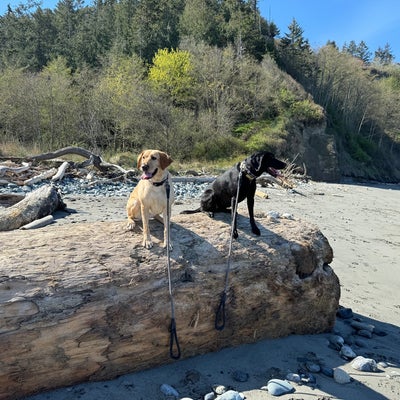 photo of Fort Worden State Park