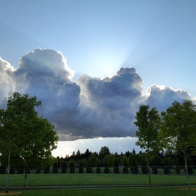 photo of Rainier Vista Community Park