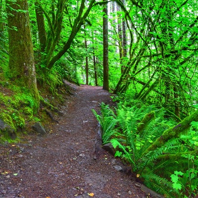 photo of Exit 38 - Deception Crags Climbing Area