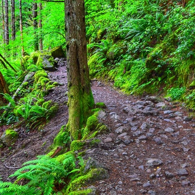 photo of Exit 38 - Deception Crags Climbing Area