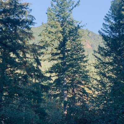 photo of Mount Si Trailhead