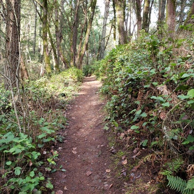 photo of Snake Lake Nature Center