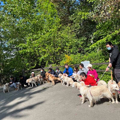 photo of Luther Burbank Dog Park