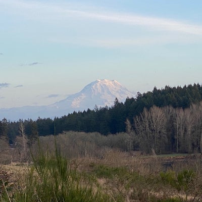 photo of Ft. Steilacoom Park