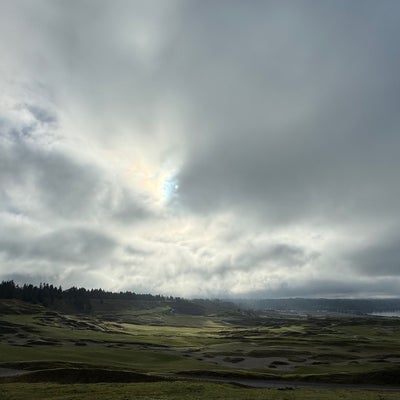 photo of Chambers Bay Golf Course