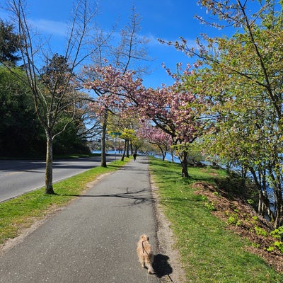 photo of Lake Washington Blvd Park