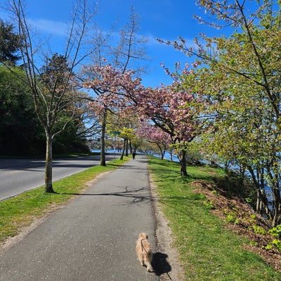 photo of Lake Washington Blvd Park