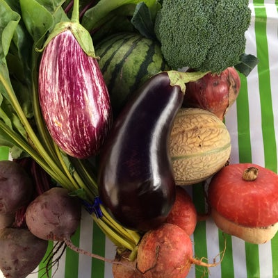 photo of Proctor Farmer's Market