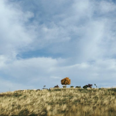 photo of Grand View Park