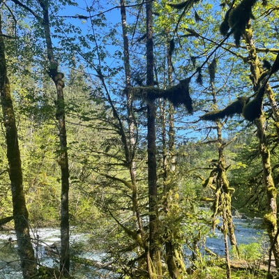 photo of Olallie State Park