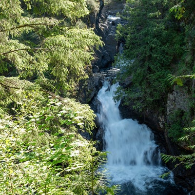 photo of Olallie State Park