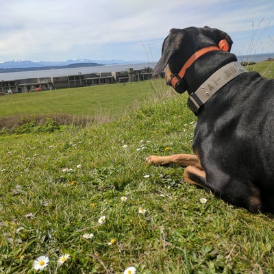 photo of Fort Casey