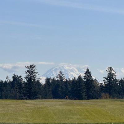 photo of The Home Course
