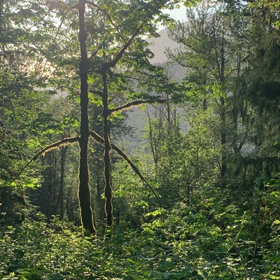photo of Mailbox Peak Trailhead