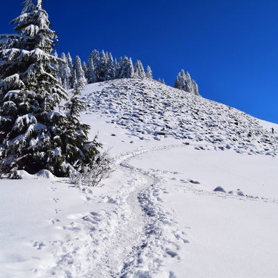 photo of Mailbox Peak Trailhead