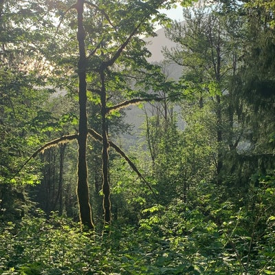 photo of Mailbox Peak Trailhead