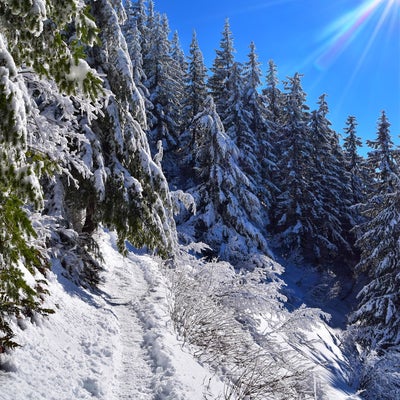 photo of Mailbox Peak Trailhead