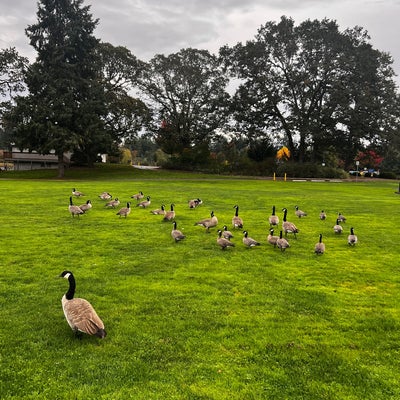 photo of Woodland Creek Community Park