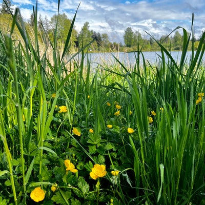 photo of Woodland Creek Community Park