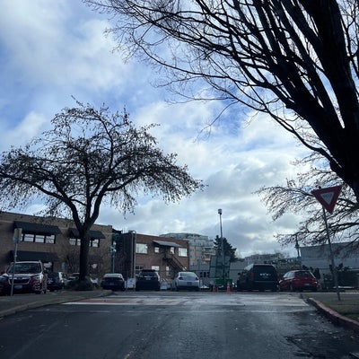 photo of Downtown Kirkland Waterfront