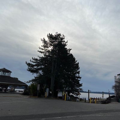 photo of Downtown Kirkland Waterfront