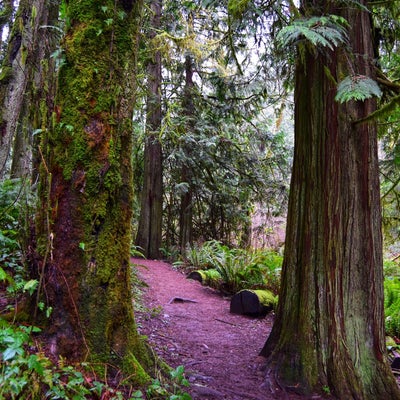 photo of Fort Townsend State Park