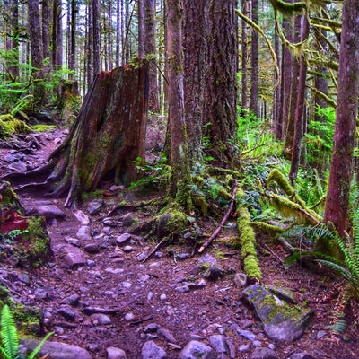 photo of Rattlesnake Mountain