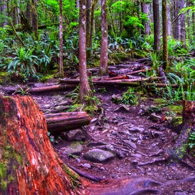 photo of Rattlesnake Mountain