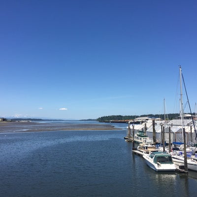 photo of Percival Landing Park