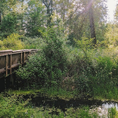 photo of Nisqually National Wildlife Refuge