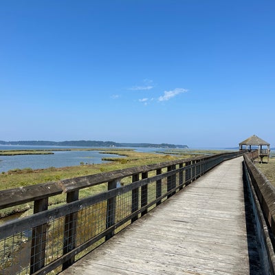 photo of Nisqually National Wildlife Refuge