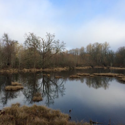 photo of Nisqually National Wildlife Refuge