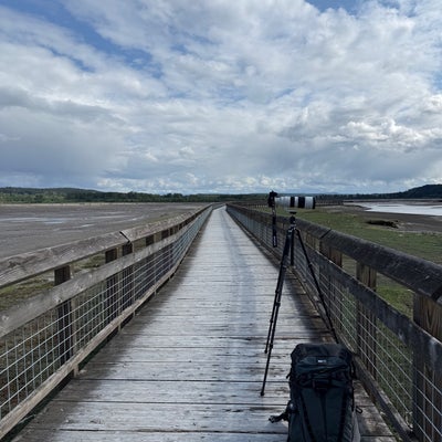 photo of Nisqually National Wildlife Refuge
