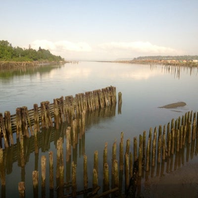 photo of Amtrak 510 SEA to VAC