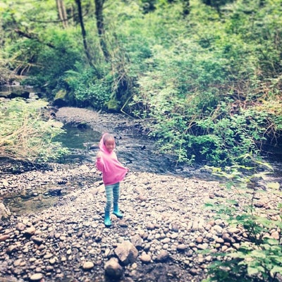 photo of Camp Schonwald Park