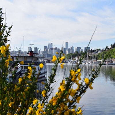 photo of Gasworks Park Marina