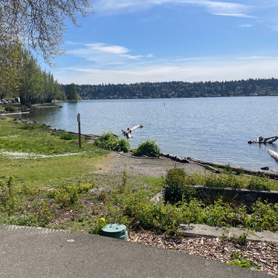 photo of Seward Park Beach