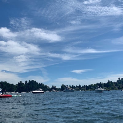 photo of Seward Park Beach