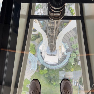 photo of Space Needle: Observation Deck